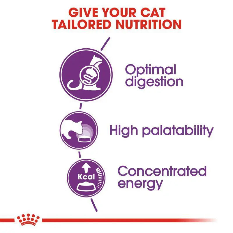 ROYAL CANIN FELINE HEALTH NUTRITION SENSIBLE Royal Canin