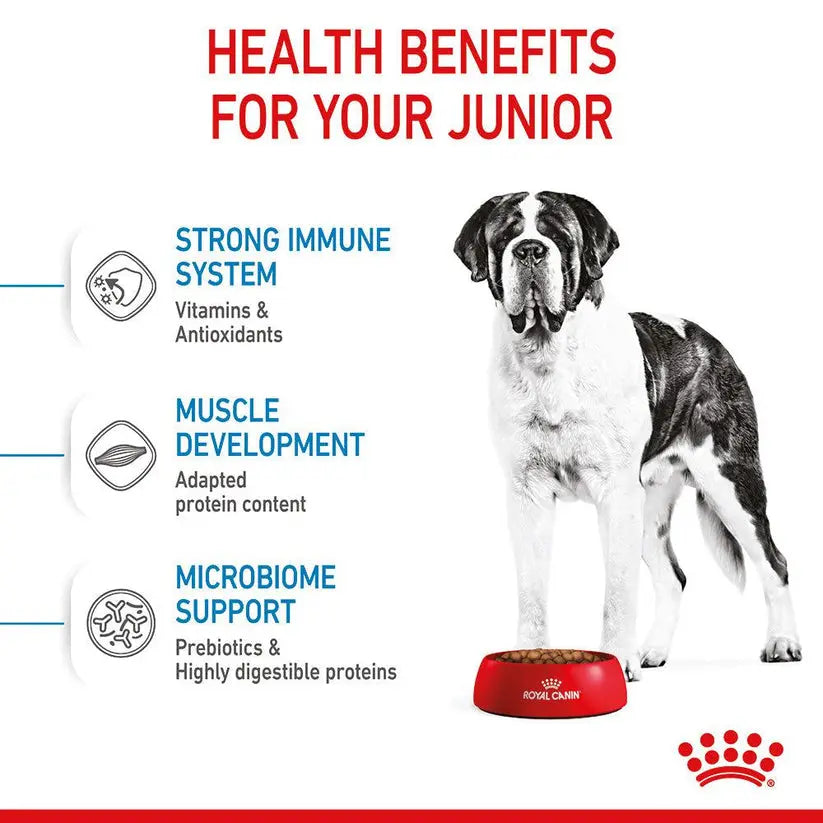 ROYAL CANIN SIZE HEALTH NUTRITION GIANT JUNIOR 15 KG Royal Canin
