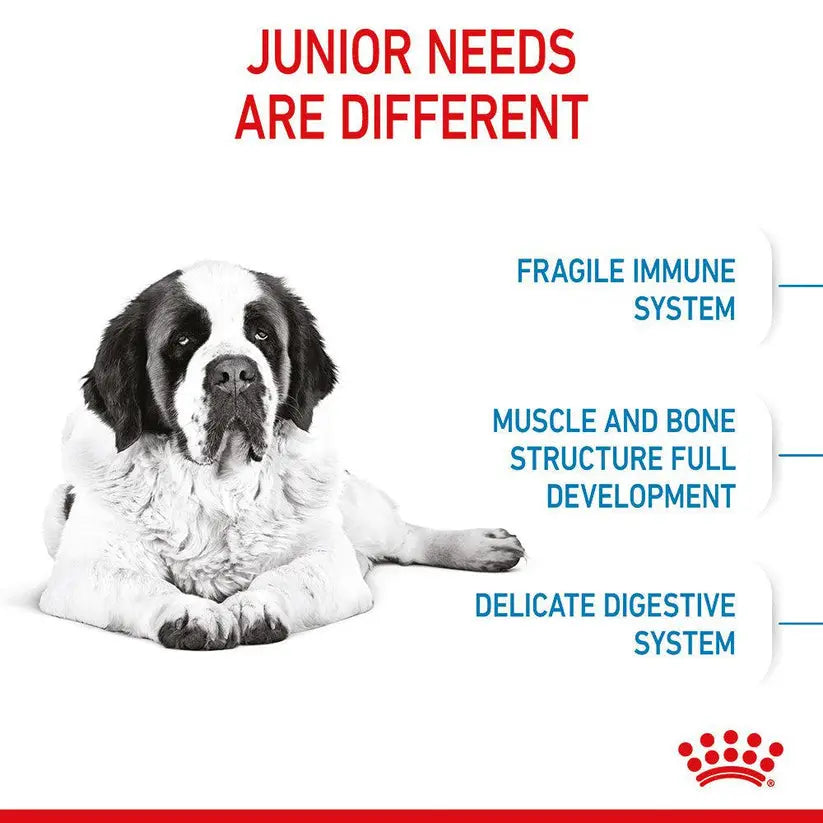 ROYAL CANIN SIZE HEALTH NUTRITION GIANT JUNIOR 15 KG Royal Canin