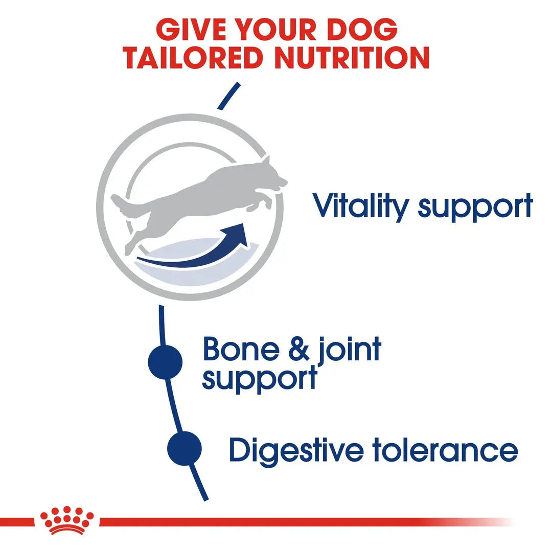 ROYAL CANIN SIZE HEALTH NUTRITION MAXI ADULT 5+, 15 KG Royal Canin