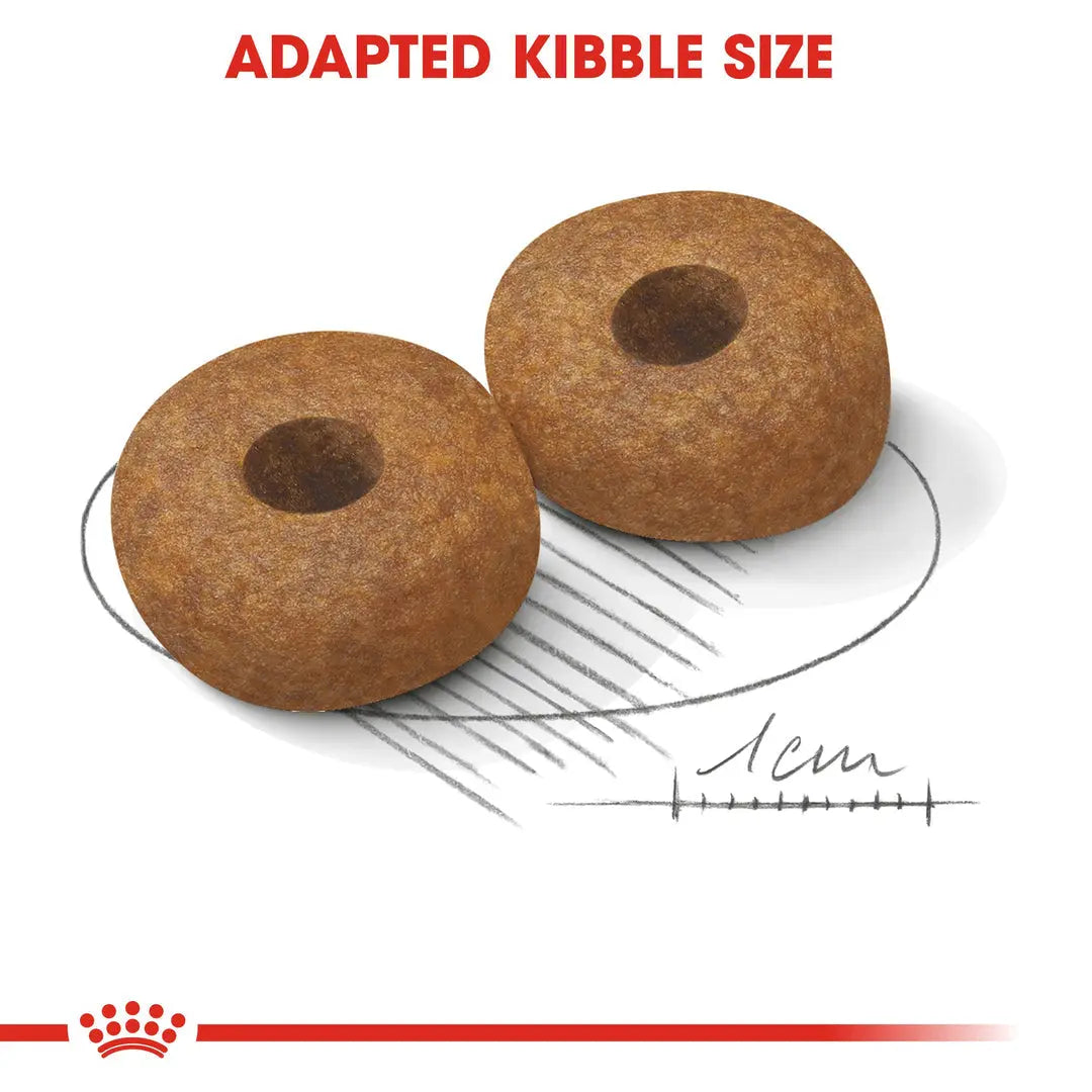 ROYAL CANIN SIZE HEALTH NUTRITION MEDIUM AGEING 10+, 3 KG Royal Canin