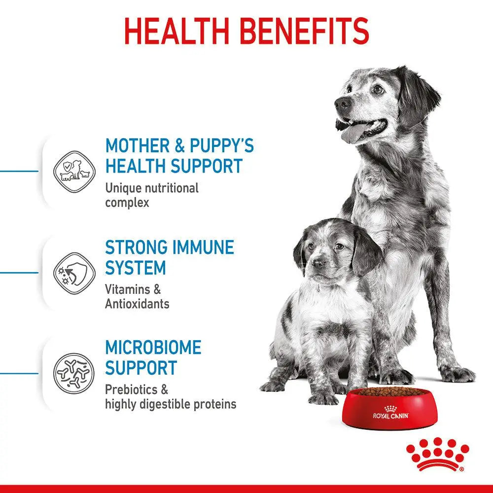 ROYAL CANIN SIZE HEALTH NUTRITION MEDIUM STARTER 4 KG Royal Canin