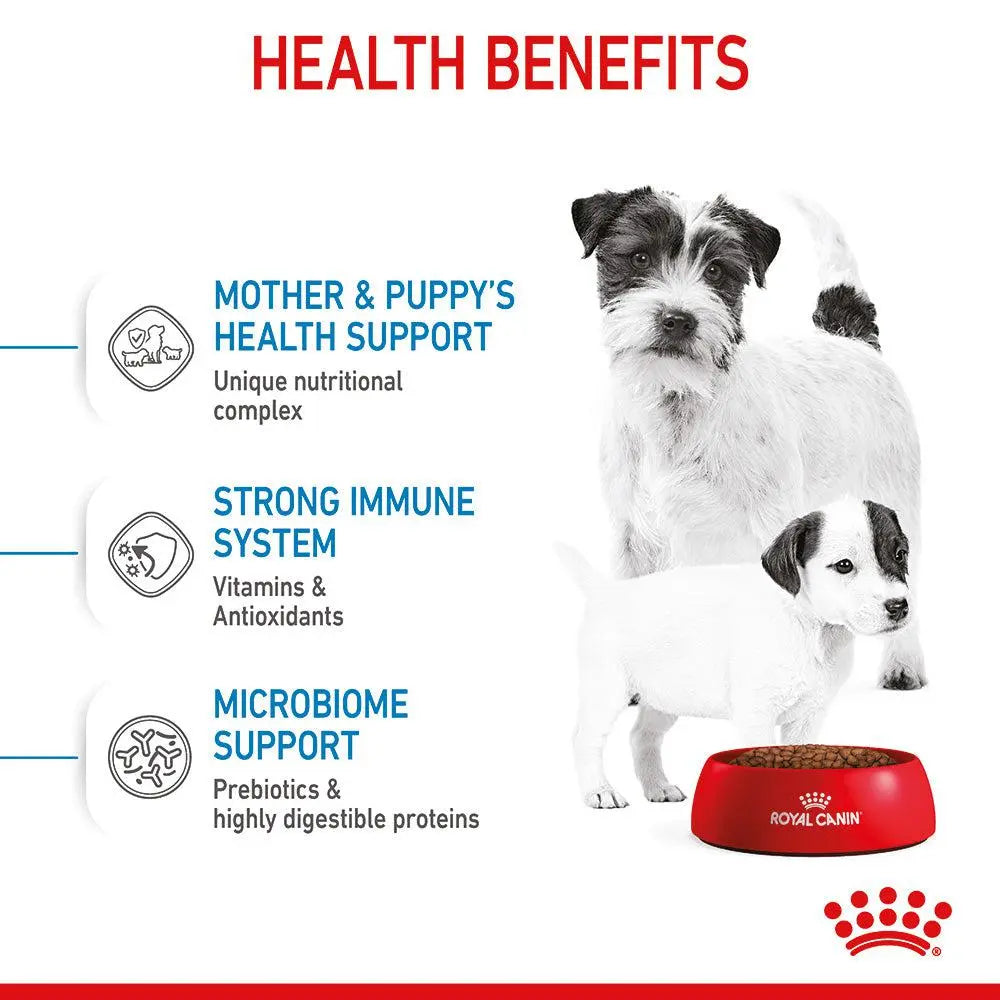 ROYAL CANIN SIZE HEALTH NUTRITION MINI STARTER 1 KG Royal Canin