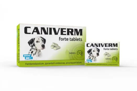 CANIVERM DEWORMING TABLET 0.7MG/TABLET BIOVETA