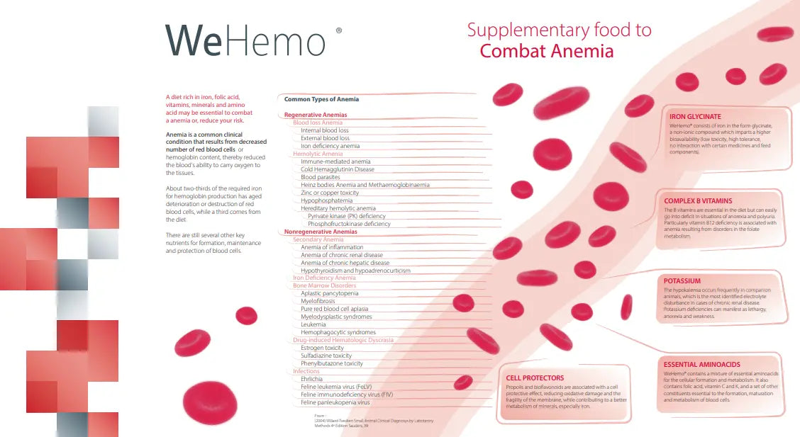 WEPHARM WEHEMO 30ML We Pharm