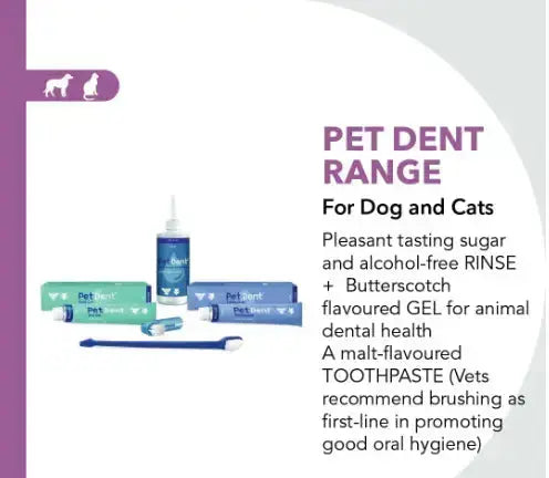 PET DENT ORAL GEL 60G KYRON LABS