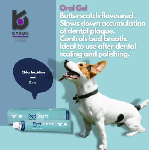 PET DENT ORAL GEL 60G KYRON LABS