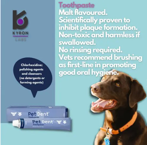 PET DENT TOOTHPASTE 60G KYRON LABS