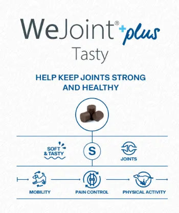 WEPHARM WE JOINT PLUS TASTY We Pharm