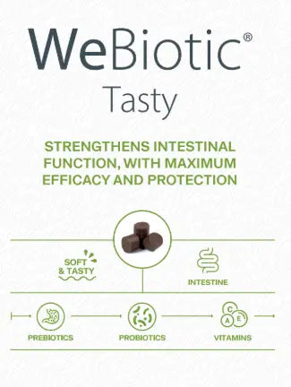 WE PHARM WE BIOTIC TASTY We Pharm