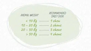 WE PHARM WE BIOTIC TASTY We Pharm
