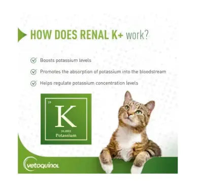 VETOQUINOL RENAL K+ 5OZ GEL VETOQUINOL