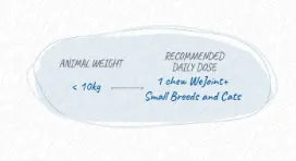 WEPHARM WE JOINT PLUS TASTY We Pharm