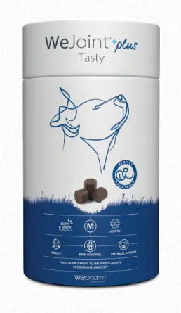 WEPHARM WE JOINT PLUS TASTY We Pharm