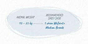 WEPHARM WE JOINT PLUS TASTY We Pharm