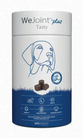 WEPHARM WE JOINT PLUS TASTY We Pharm