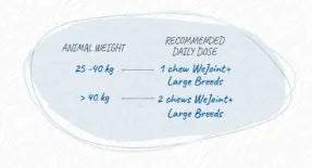 WEPHARM WE JOINT PLUS TASTY We Pharm