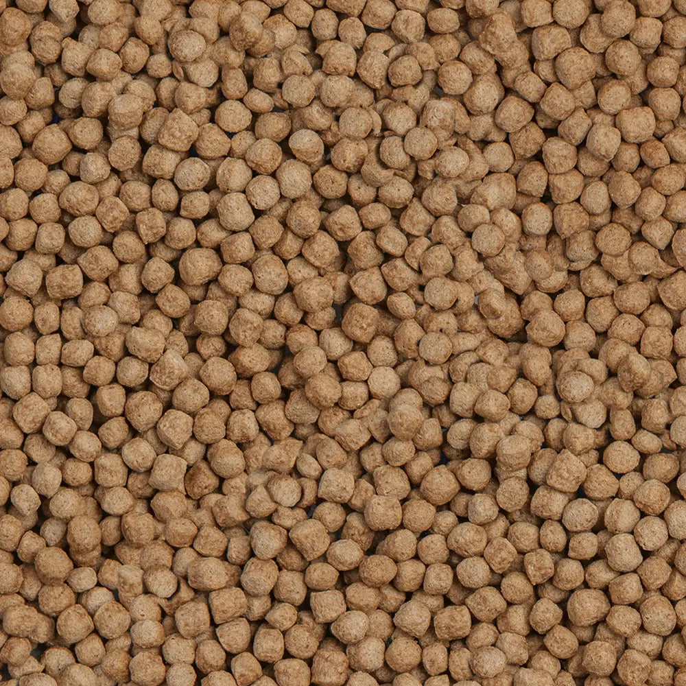 SERA POND FEED KOI ROYAL MEDIUM NATURE 1000ML Petszapp