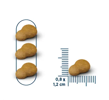 SEVEN CATS INDOOR CAT FOOD FOR STERILIZED CHICKEN 10.1KG Seven Cats