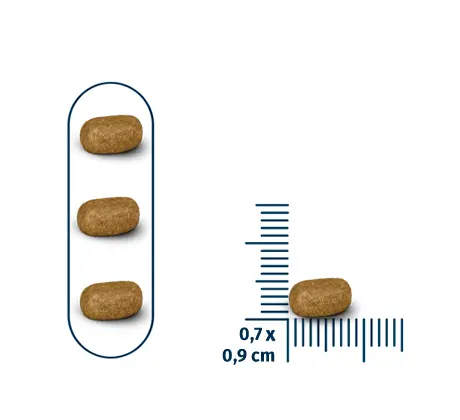 SEVEN CATS COAT BEAUTY STERILIZED CAT FOOD SALMON 10.1KG Seven Cats