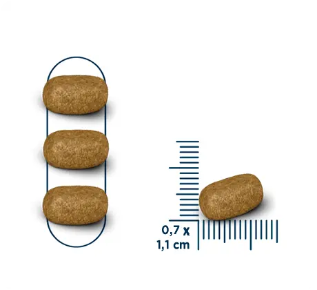 SEVEN DOGS SMALL AND MINI ADULT DOG BEEF AND CHICKEN 10.1KG Seven Dogs