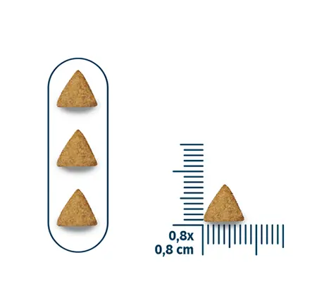 SEVEN DOGS SMALL AND MINI BREED DOG FOOD FOR PUPPIES - BEEF,CHICKEN AND CEREALS 10.1KG Seven Dogs