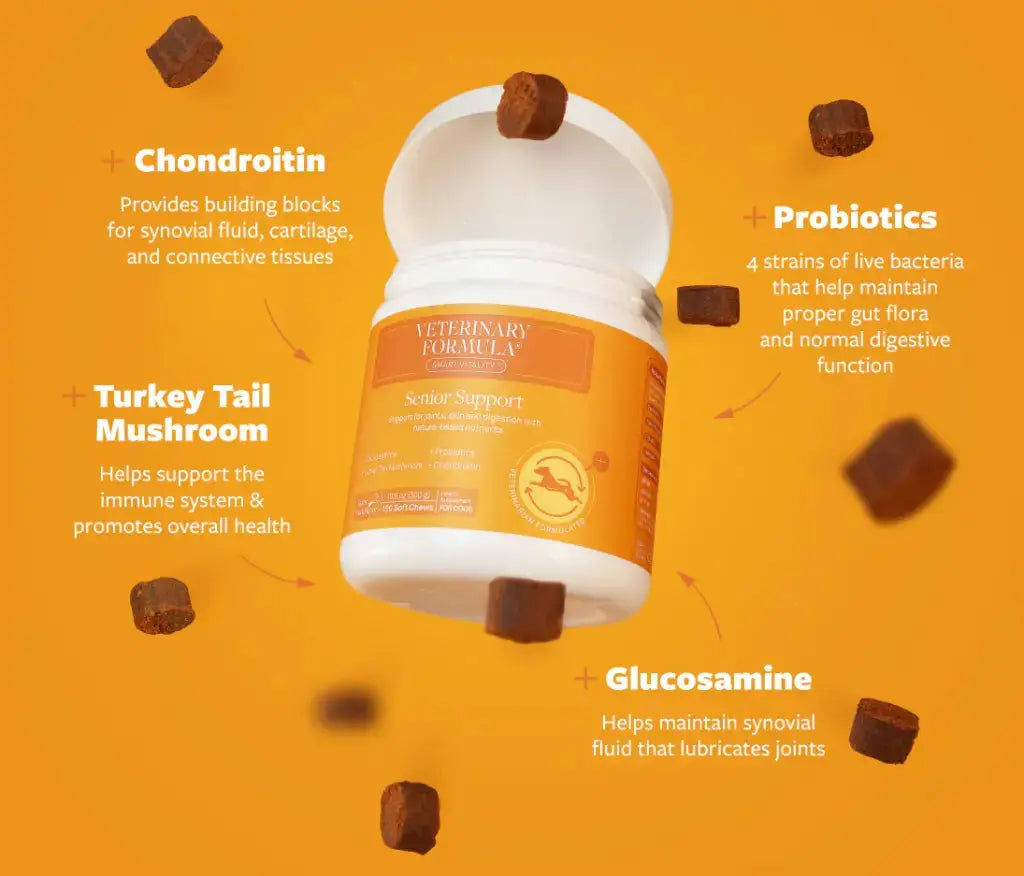 SYNERGY LABS VETERINARY FORMULA CARE SENIOR SUPPORT SUPPLEMENT 90G SYNERGY LABS