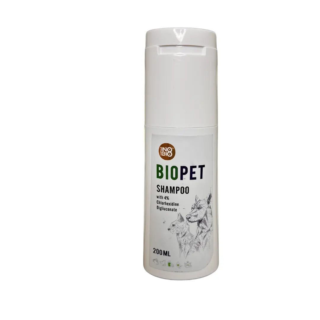 BIOPET ANTIFUNGAL | ANTISEPTIC | ANTIBACTERIAL SHAMPOO FOR DOG WITH 4%CHLORHIXIDINE DIGLUCONATE 200 ML Ruvera