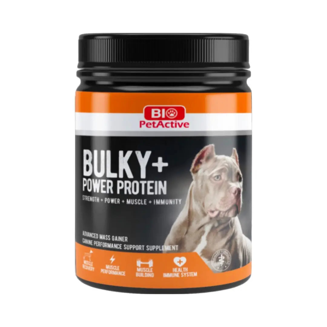 BULKY+ POWER PROTEIN 368GR Bio PetActive
