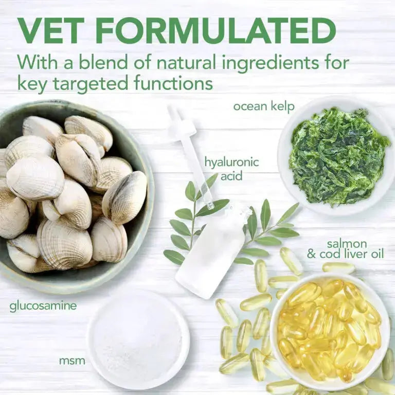 VET'S BEST DAILY CHEWS 180 SOFT CHEWS ADULT VET'S BEST