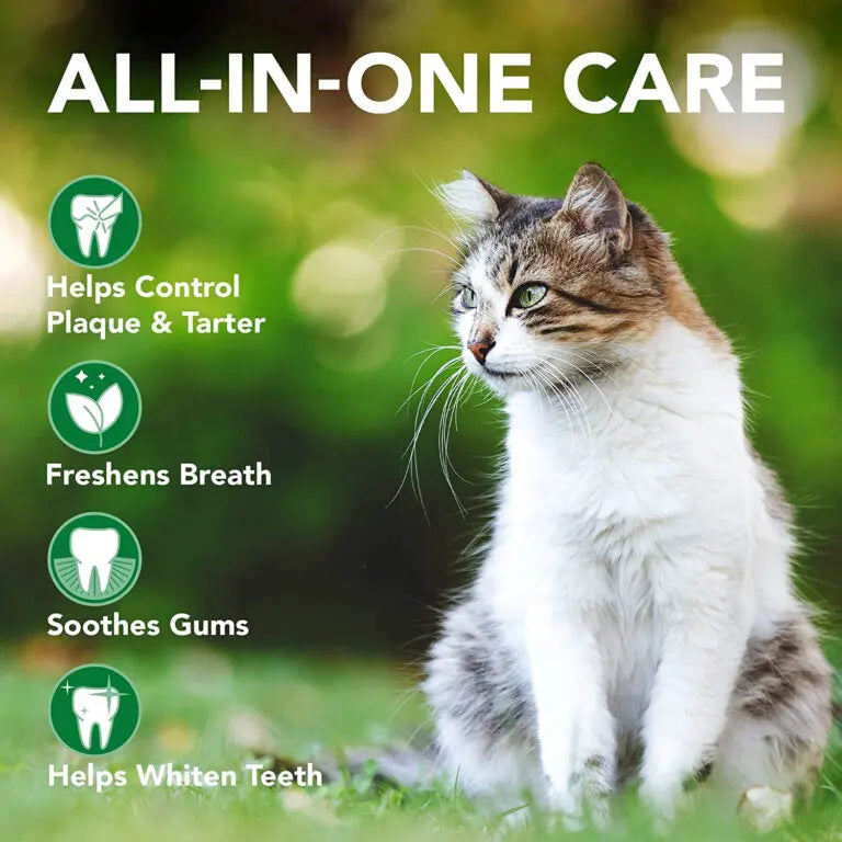 VET'S BEST ADVANCED DENTAL POWDER FOR CATS 45G VET'S BEST