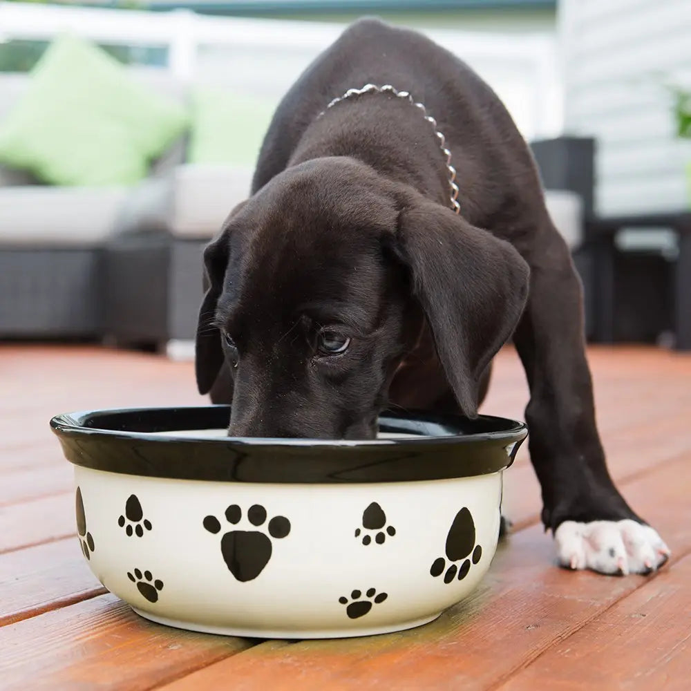 VE'S BEST BREATH FRESHENER 500ML VET'S BEST