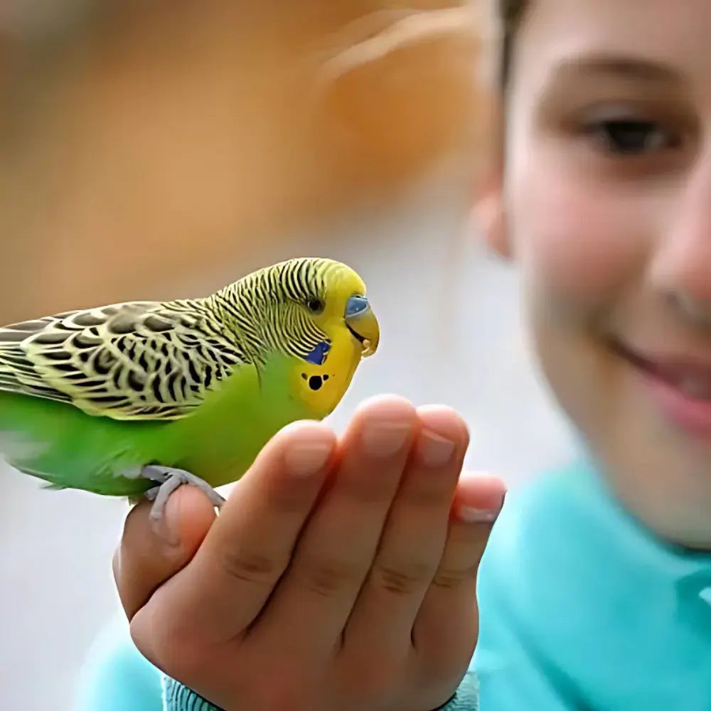VOLO SEEDY BUDGIE MIX WITH VITAMIN VOLO