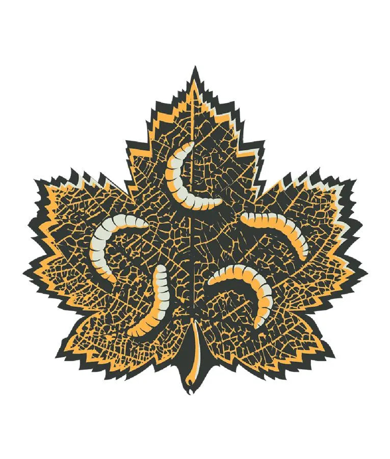 CANAGAN INSECT PROTEIN DRY DOG FOOD CANAGAN