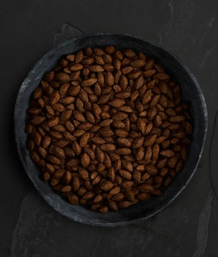 CANAGAN INSECT PROTEIN DRY DOG FOOD CANAGAN