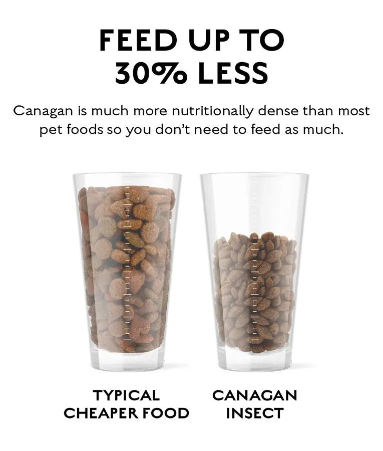CANAGAN INSECT PROTEIN DRY DOG FOOD CANAGAN
