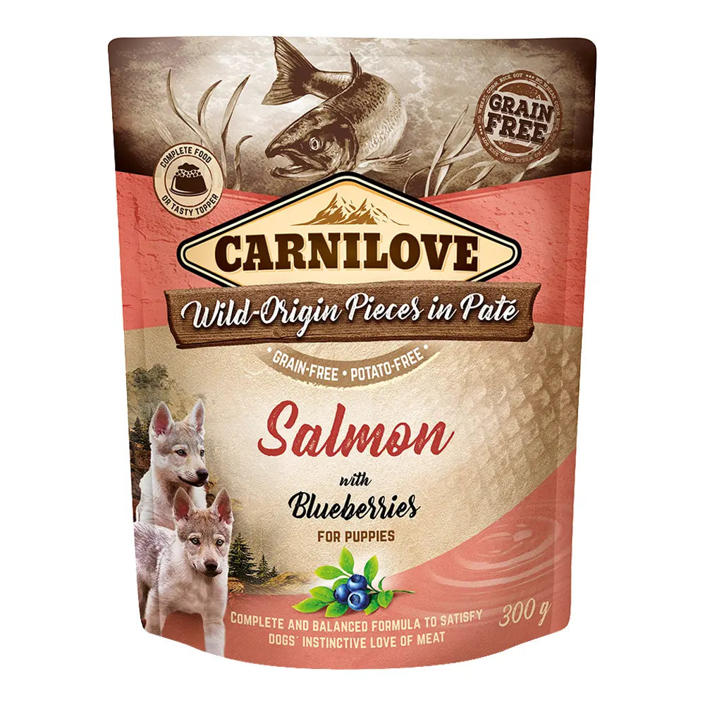 Carnilove Salmon with Blueberries for Puppies (Wet Food Pouches) 12x300g Petszapp
