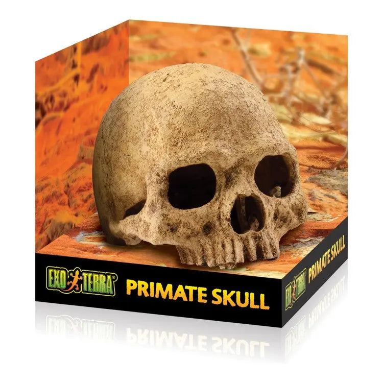 EXO TERRA PRIMATE SKULL EXO TERRA