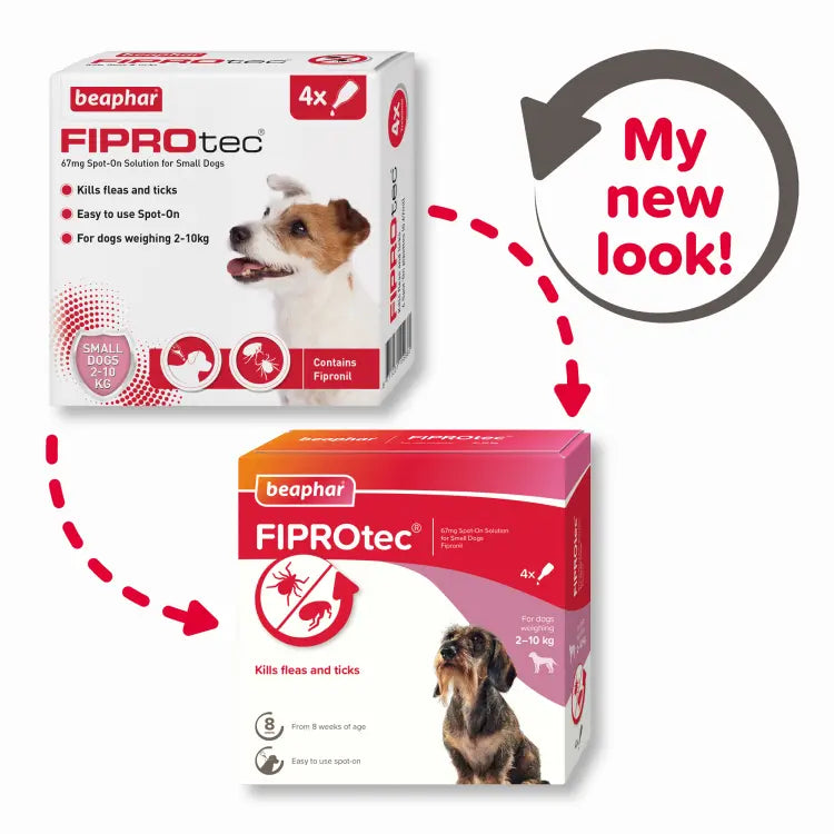 BEAPHAR FIPROTEC FOR SMALL DOG - 4 PIPETTES BEAPHAR