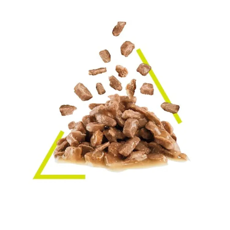 ROYAL CANIN FELINE HEALTH NUTRITION SENSORY FEEL GRAVY 85G Royal Canin