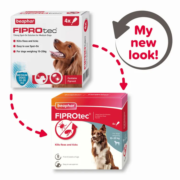BEAPHAR FIPROTEC FOR MEDIUM DOG - 4 PIPETTES BEAPHAR