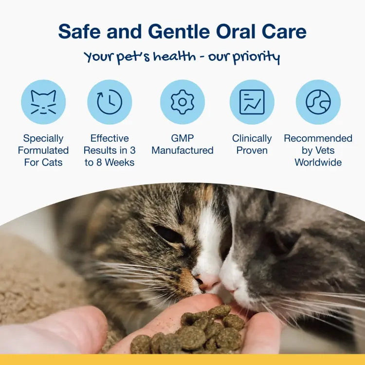 PRODEN PLAQUEOFF DENTAL BITES FOR CATS 60G Sweden Care