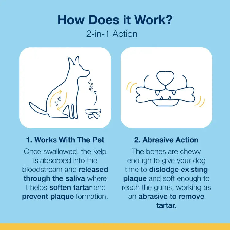 PRODEN PLAQUEOFF DENTAL CARE BONES 482G Sweden Care