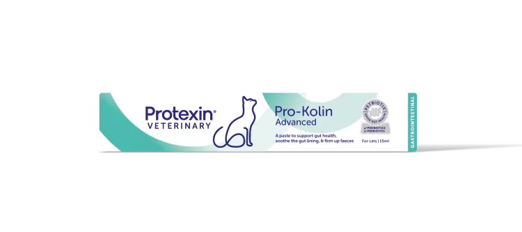 PRO-KOLIN ADVANCED FOR CATS 15ML PROTEXIN