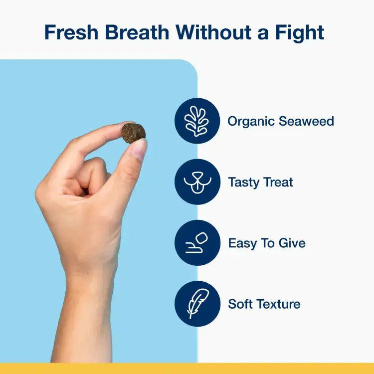 PRODEN PLAQUEOFF SOFT CHEWS FOR LARGE AND GIANT DOG 60CHEWS 180G PRODEN