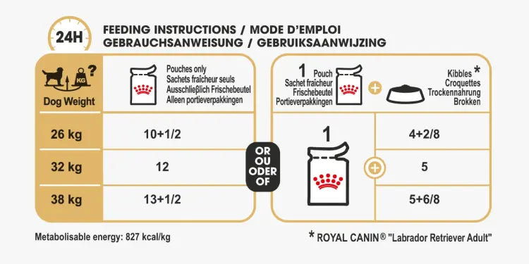 ROYAL CANIN BREED HEALTH ADULT NUTRITION LABRADOR WET FOOD 10X140G Royal Canin