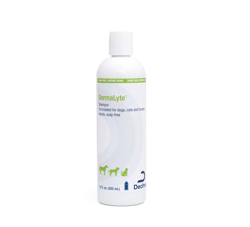DermaLyte® Shampoo 355ml Dechra