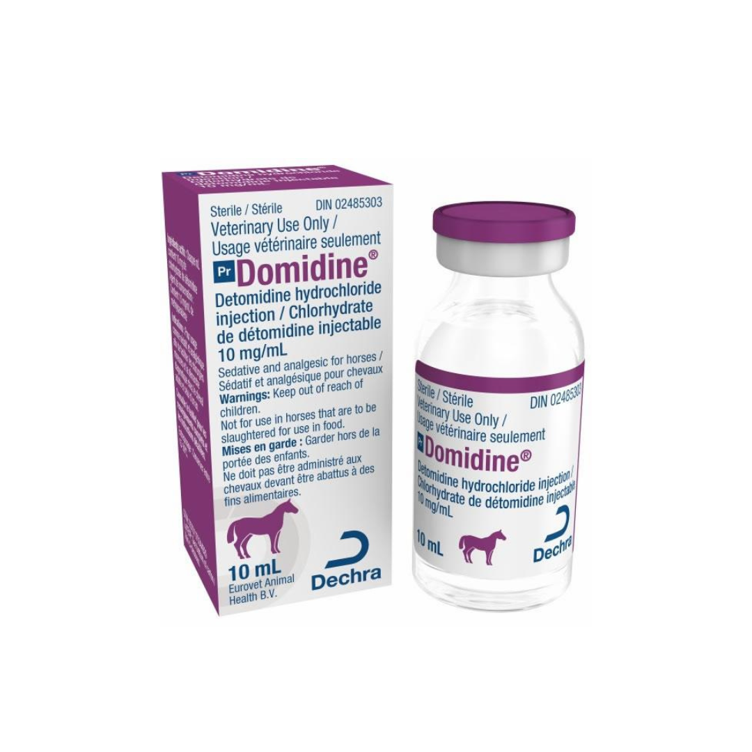 Domidine  Injection 10ml DECHRA