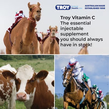 TROY VITAMIN C INJECTION 100ML KYRON LABS