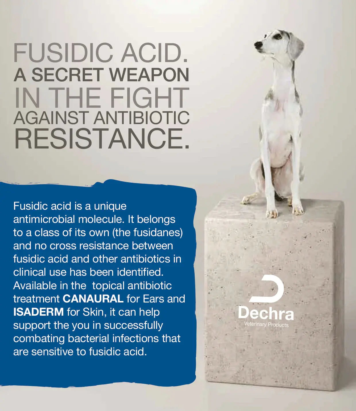 Isaderm Gel 15g DECHRA